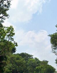 Bukit Timah Fire Station (D21), Retail #543855131